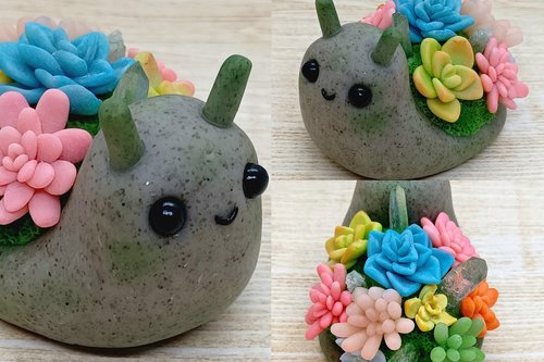 Succulent Snail #1