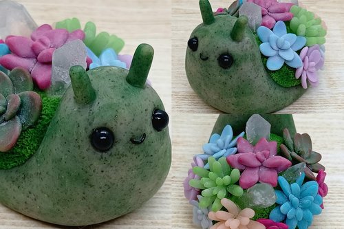 Succulent Snail #2
