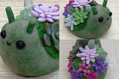Succulent Snail #6