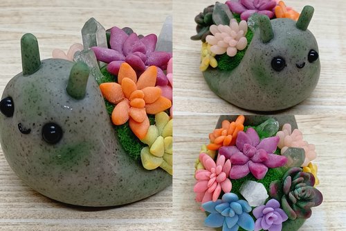 Succulent Snail #8