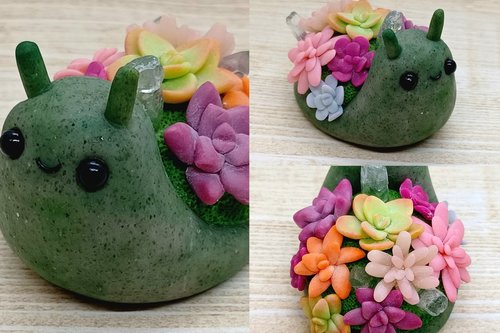 Succulent Snail #9