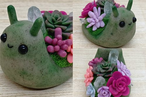 Succulent Snail #10