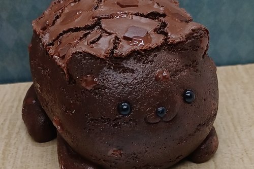 Fudgey Brownie Cat